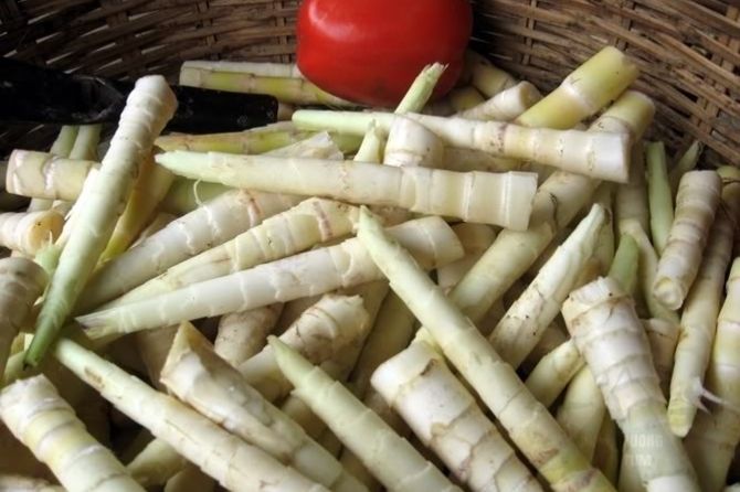 Xoi-mang---mon-an-la-mieng-o-vung-nui-rung-Kon-Tum-ai-cung-muon-thu-2-1552355051-992-width670height446