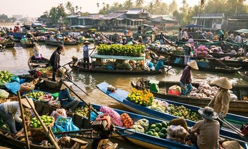 TP.HCM-ĐỒNG THÁP-CẦN THƠ