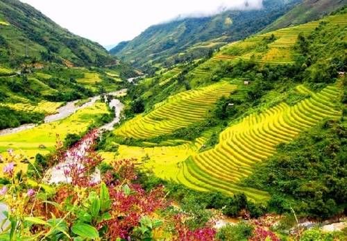 SAPA-THÀNH PHỐ TRONG SƯƠNG 